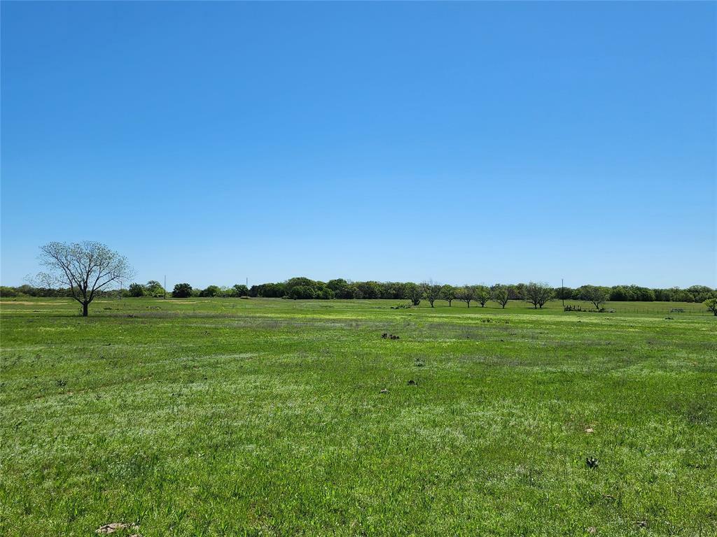 Property Photo:  Tbd County Road 335  TX 76470 