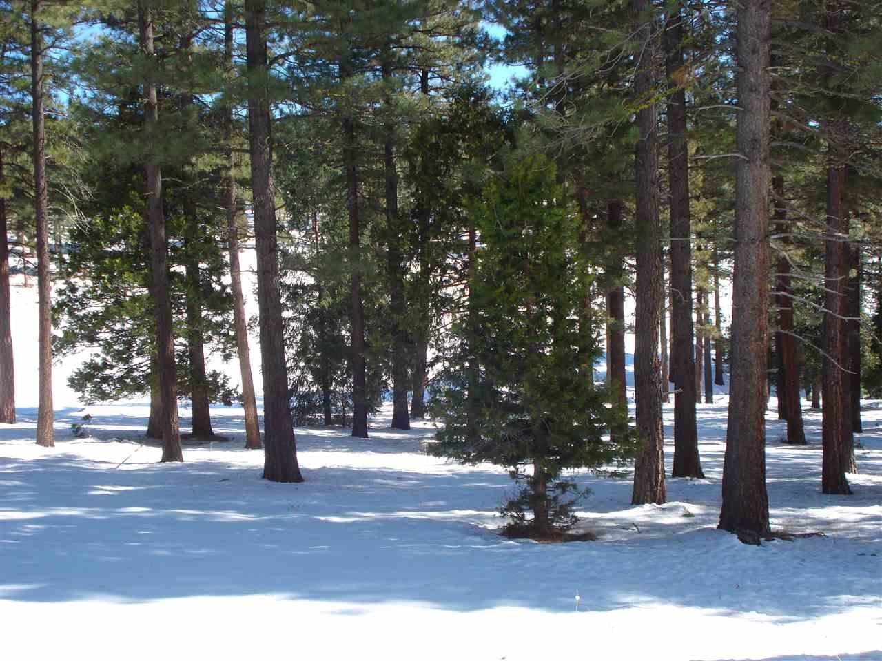 Property Photo:  360 Big Grizzly Road  CA 96122 