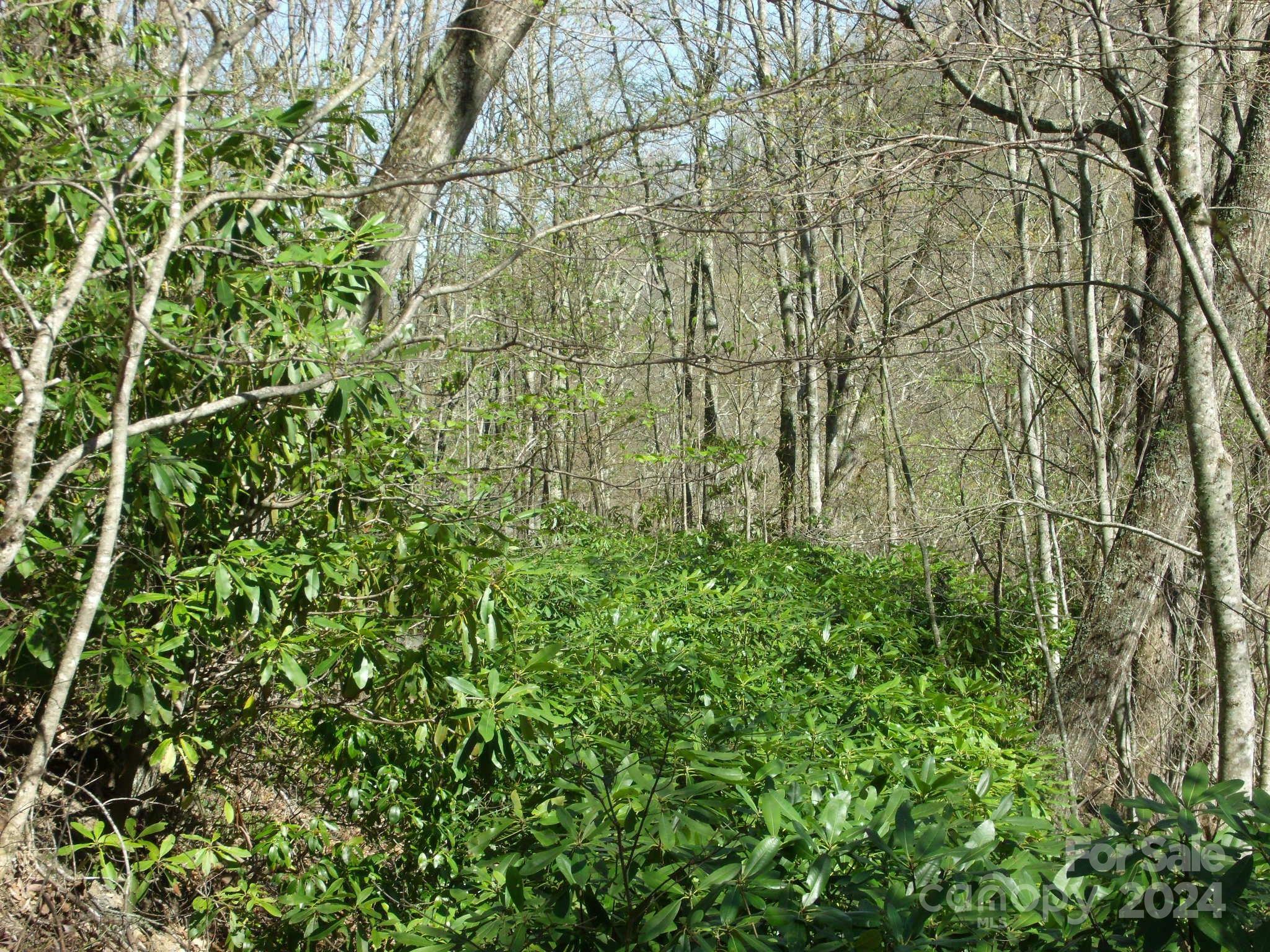 Property Photo:  00 Long Branch Road 19  NC 28751 