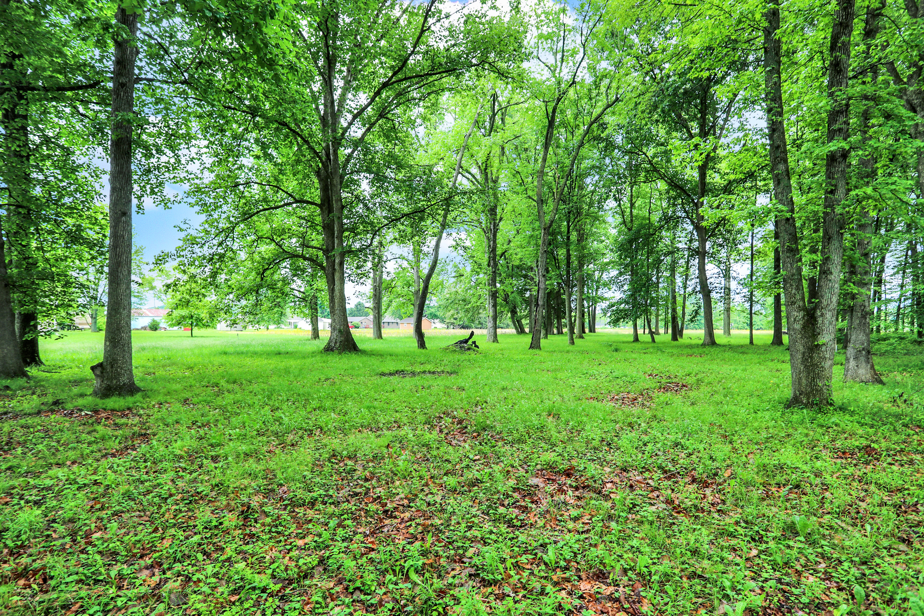 Property Photo: 1597 W County Road 350 N IN 47265