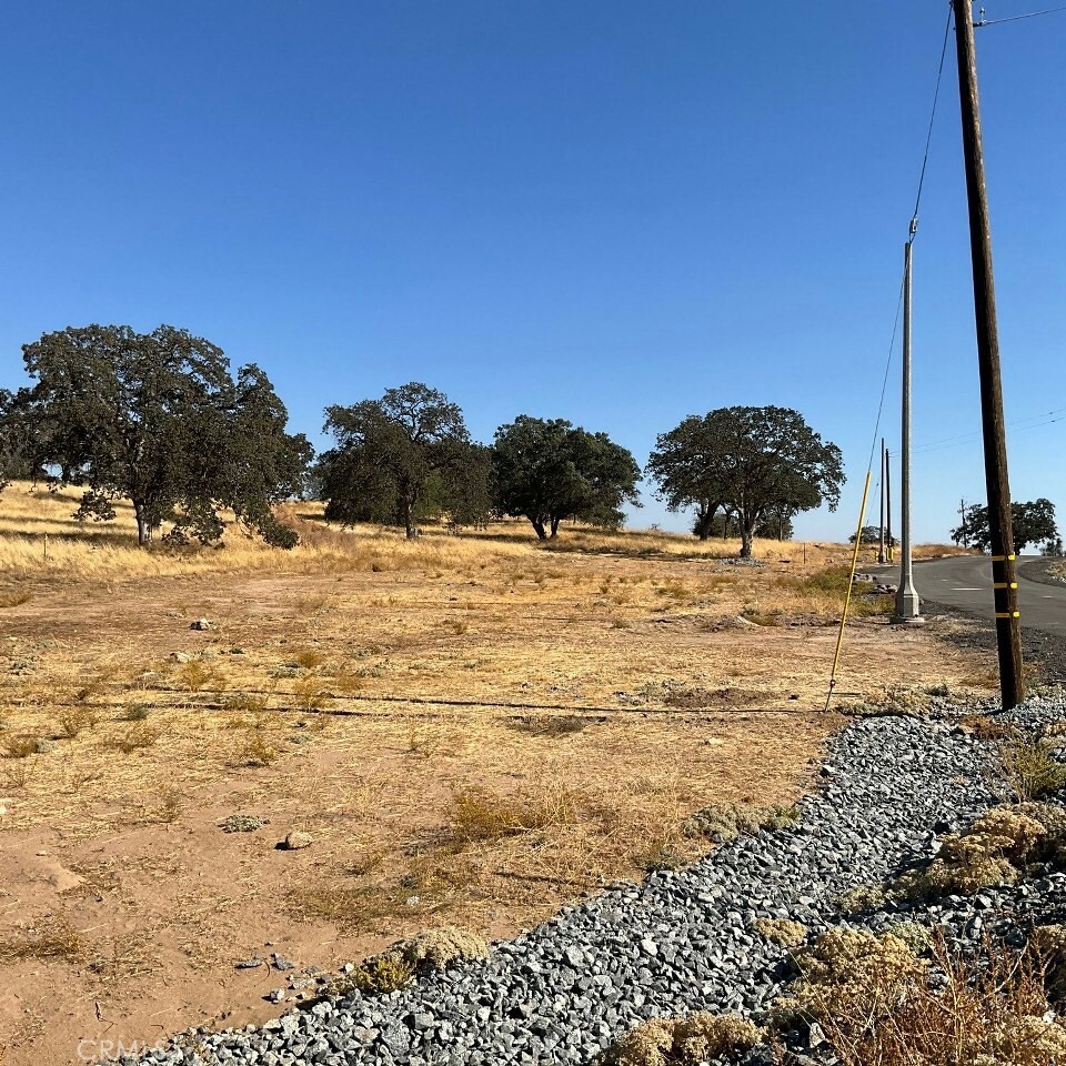 Property Photo:  0 Lot 9 Sunflower Lane  CA 93645 