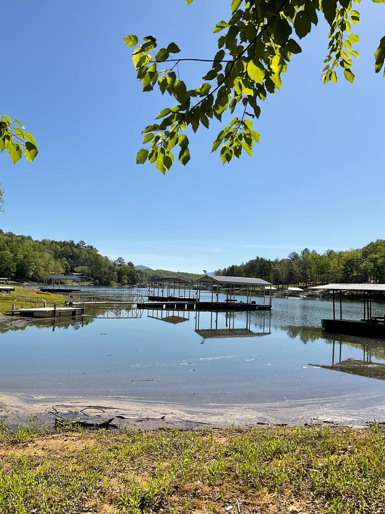 Property Photo: .60 Acre Pn Watkins Road GA 30512