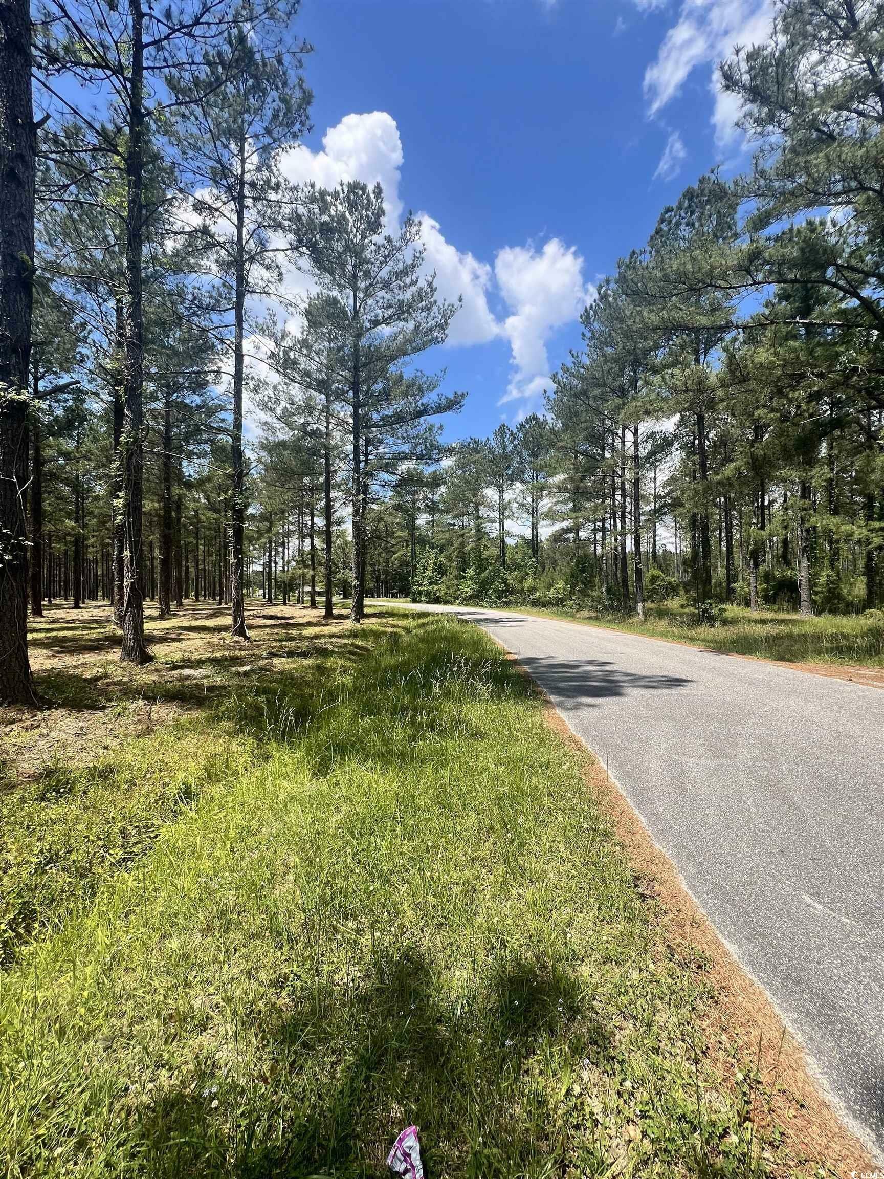 Property Photo:  Lot 1 Ashley Circle  SC 29526 