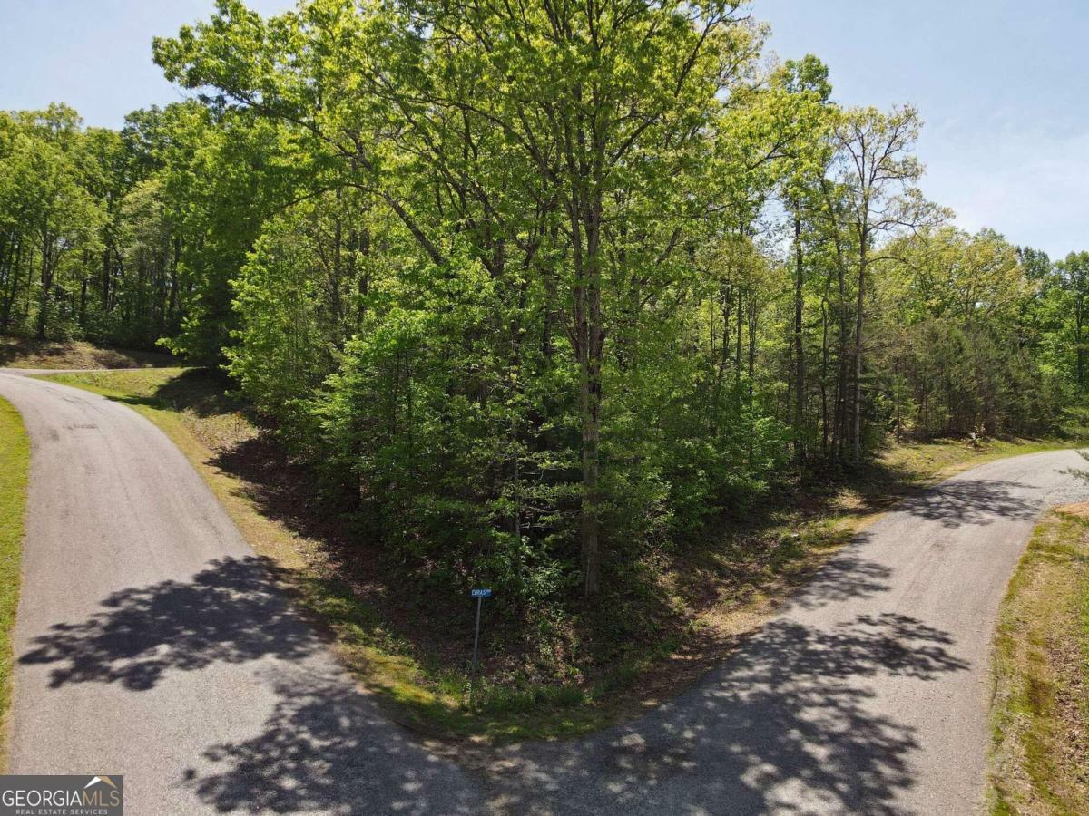 Property Photo:  Lot 26 Pleasant Meadows  GA 30512 