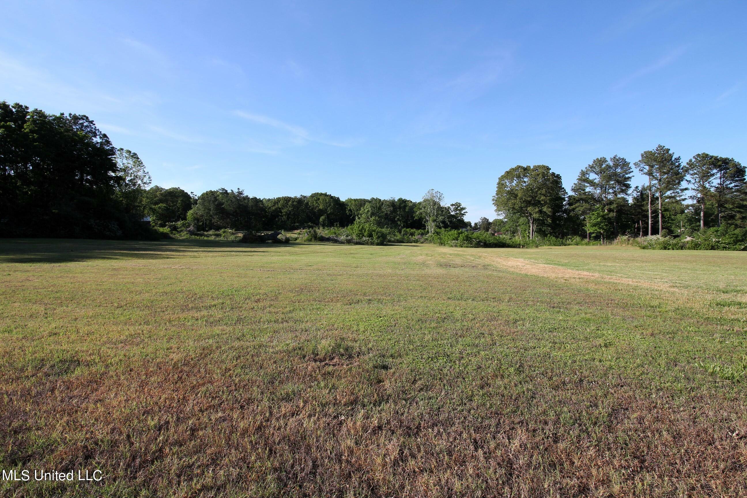 Property Photo:  250 Owes Drive  MS 38635 