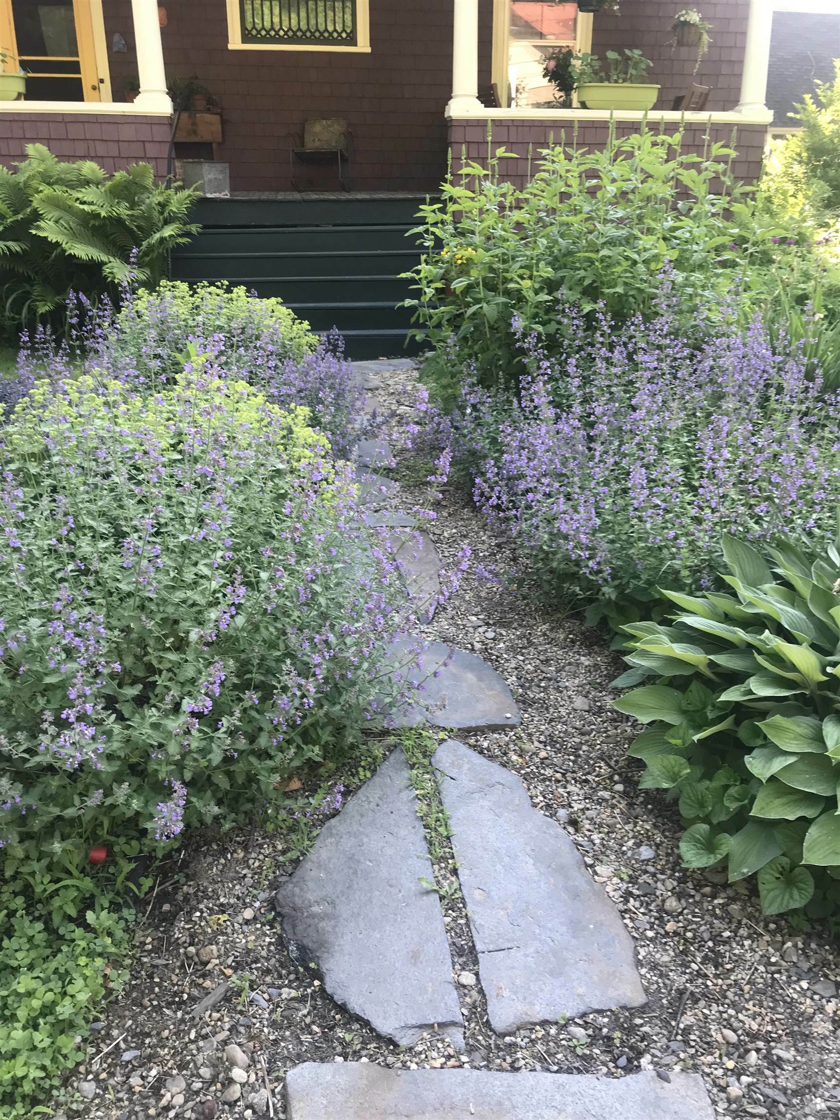 Property Photo: 391 Elm Street VT 05602