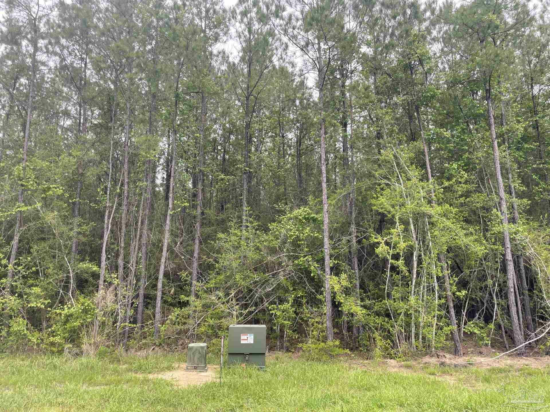 Property Photo:  Lot 25 Steele Meadow Dr  FL 32571 