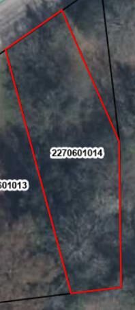 Property Photo:  Green Swamp  SC 29150 