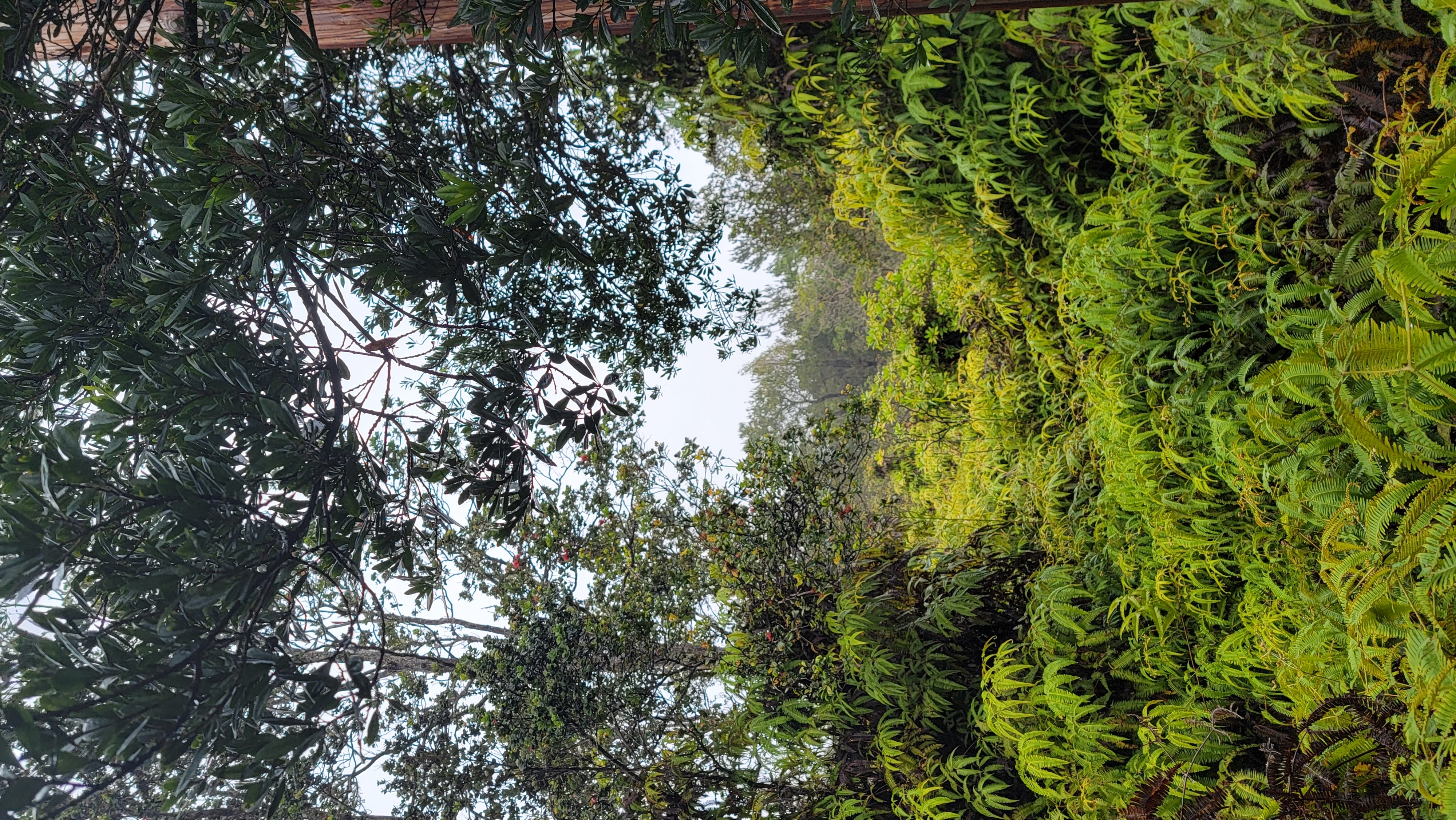 Property Photo: Mokuna St HI 96785
