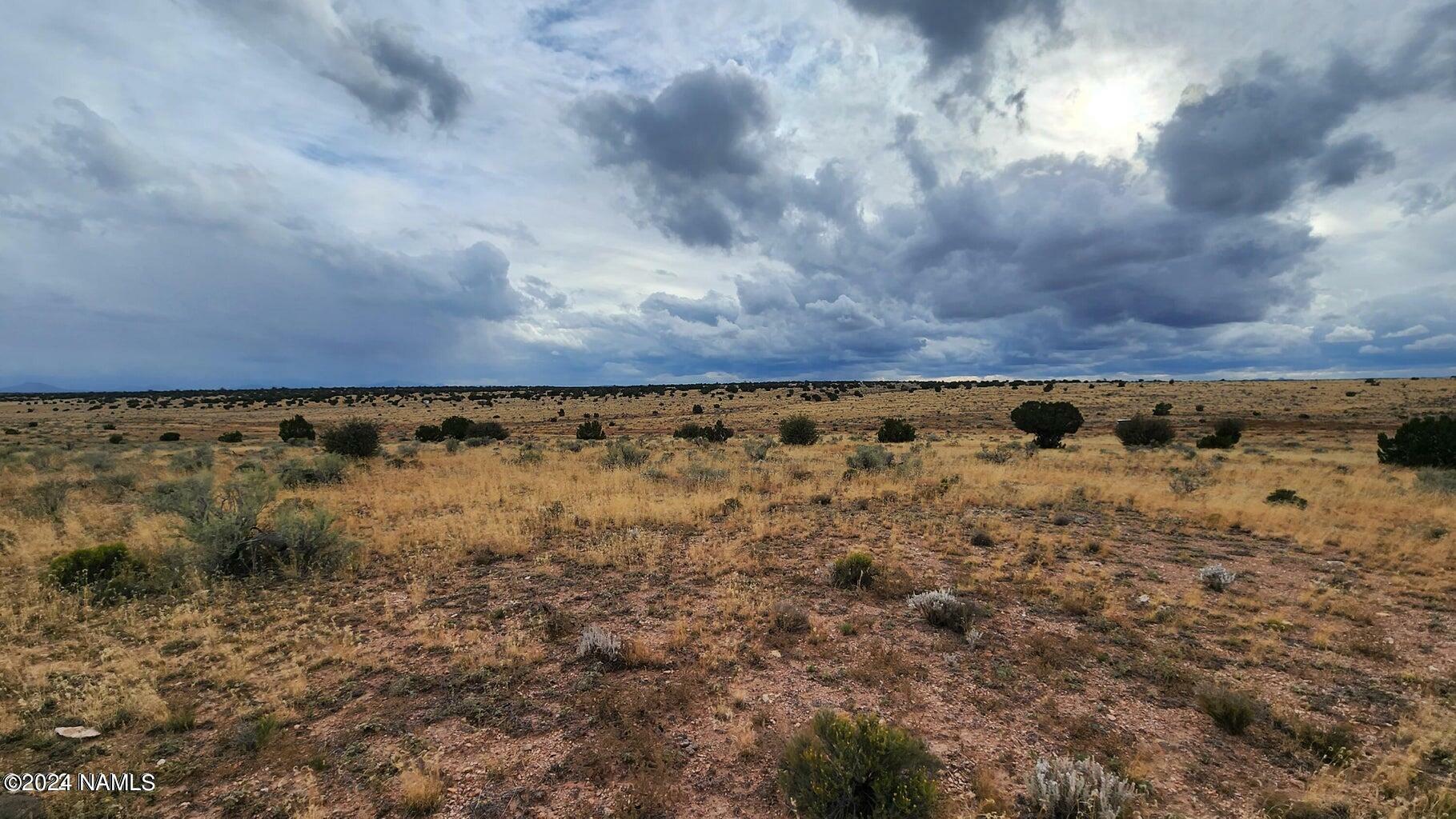 Property Photo:  8381 W Shingle Oak Lane  AZ 86046 