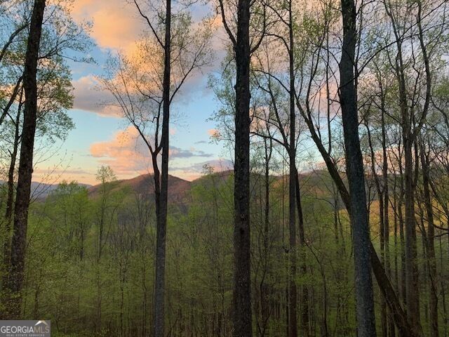 1069 Walnut Ridge  Ellijay GA 30536 photo