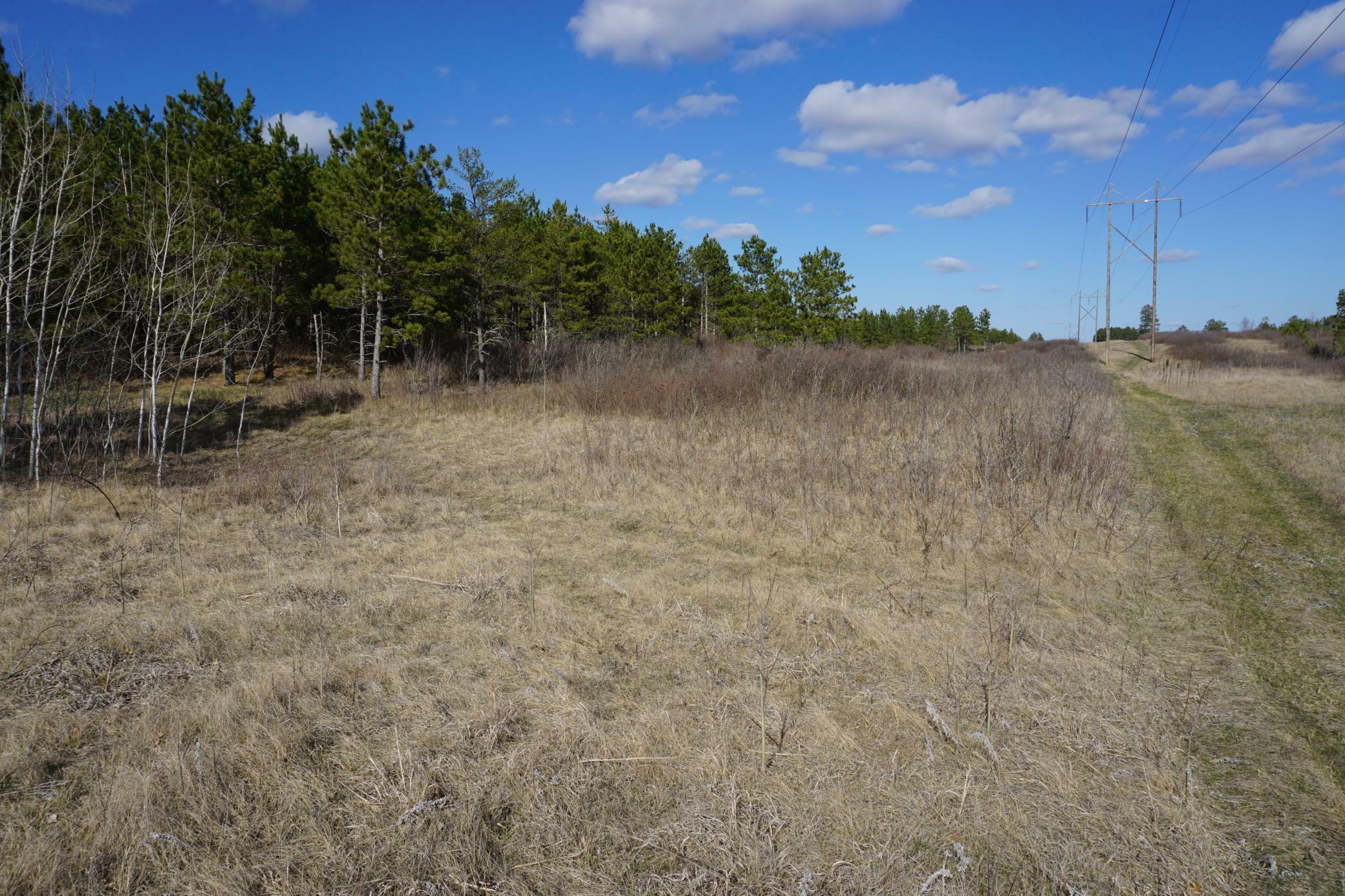 Property Photo:  Tbd 110th Street  MN 56464 