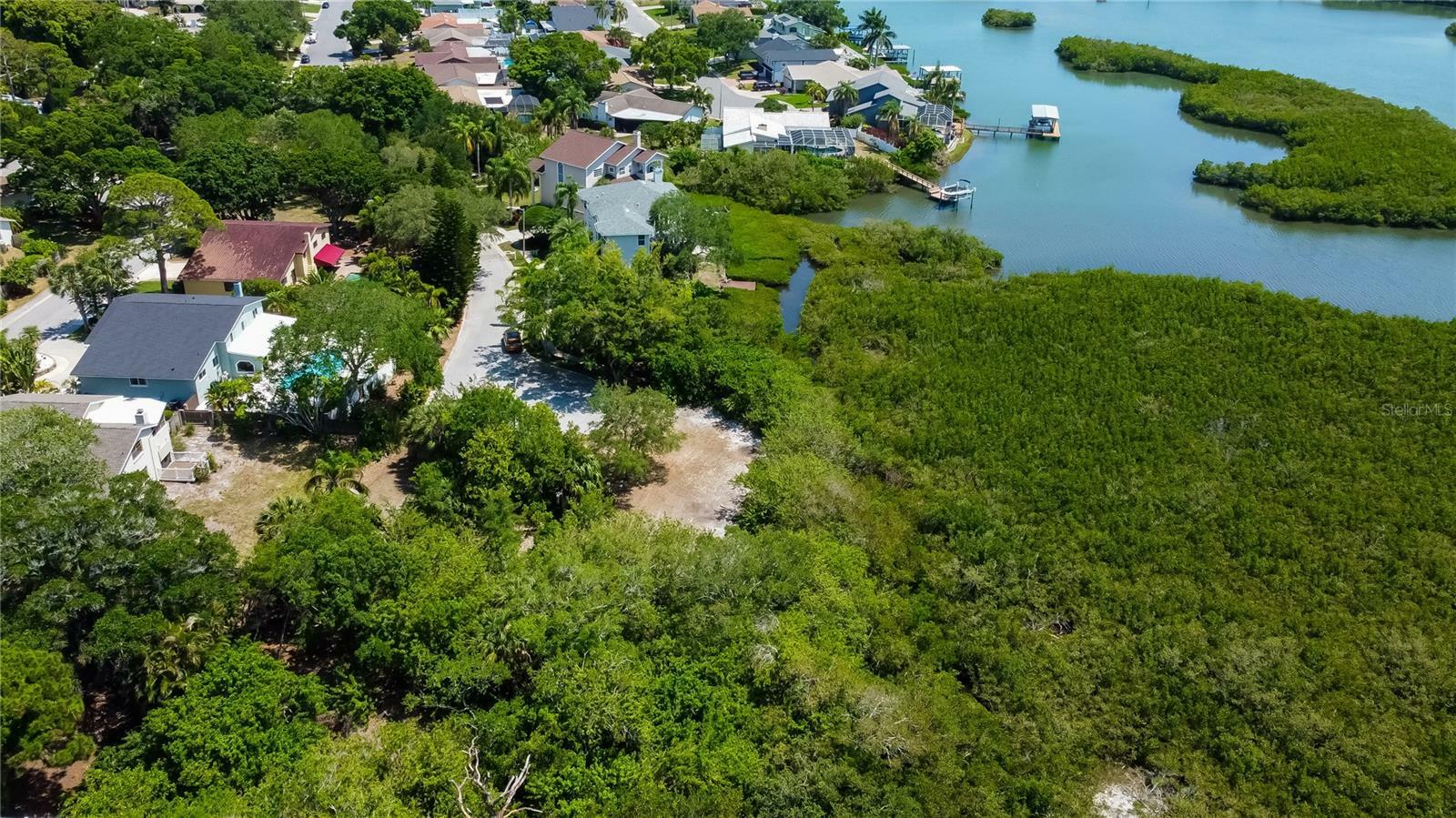 Property Photo:  Egret Woods Circle  FL 33776 