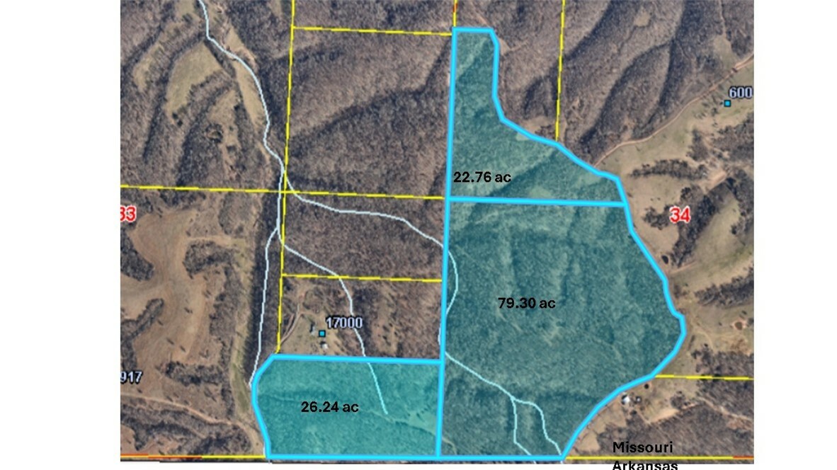 Property Photo:  26.24 Acres Styles Road  MO 64854 