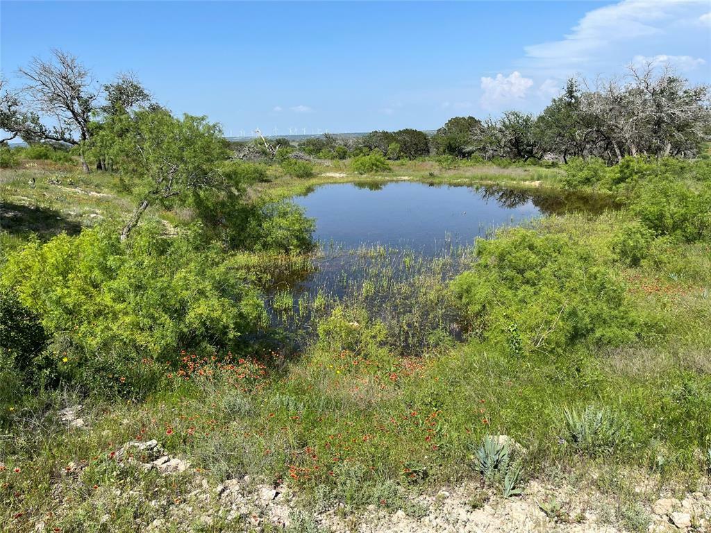 24 County Road 510  Goldthwaite TX 76844 photo