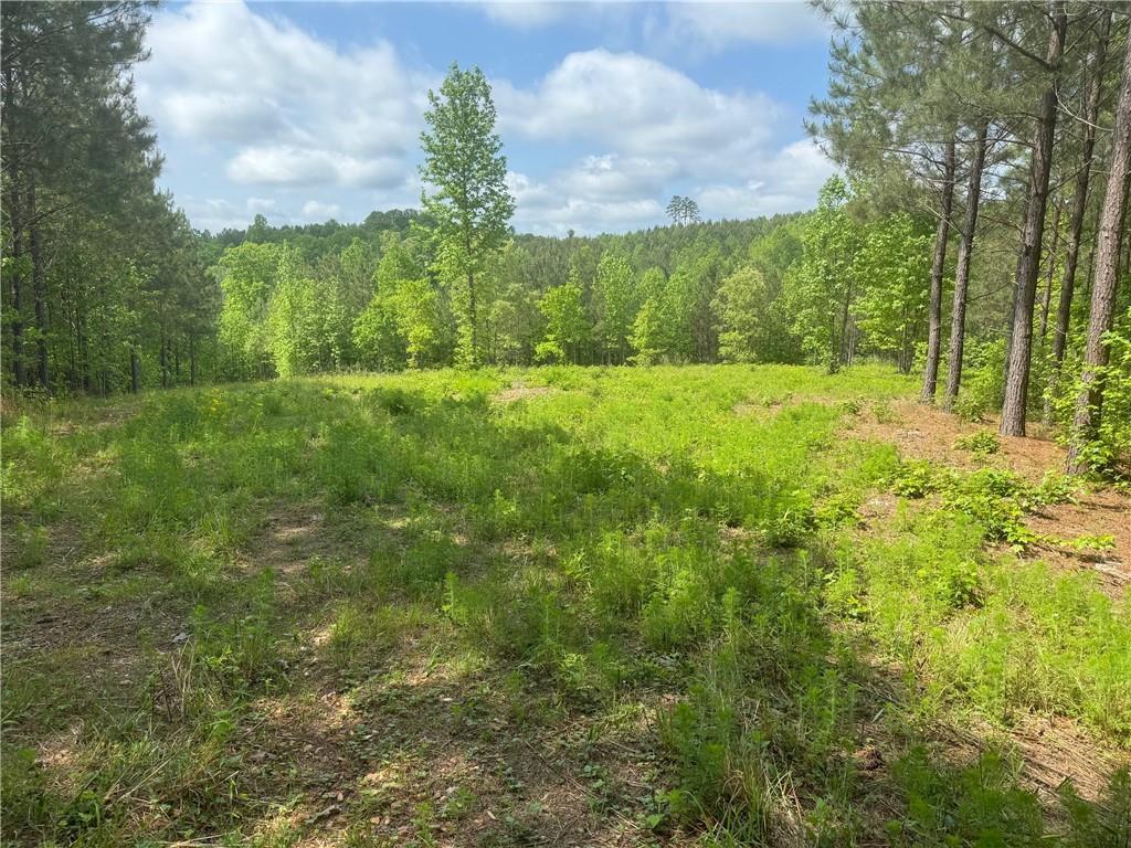 Property Photo: 00 Ga-136 Tract 2 GA 30534