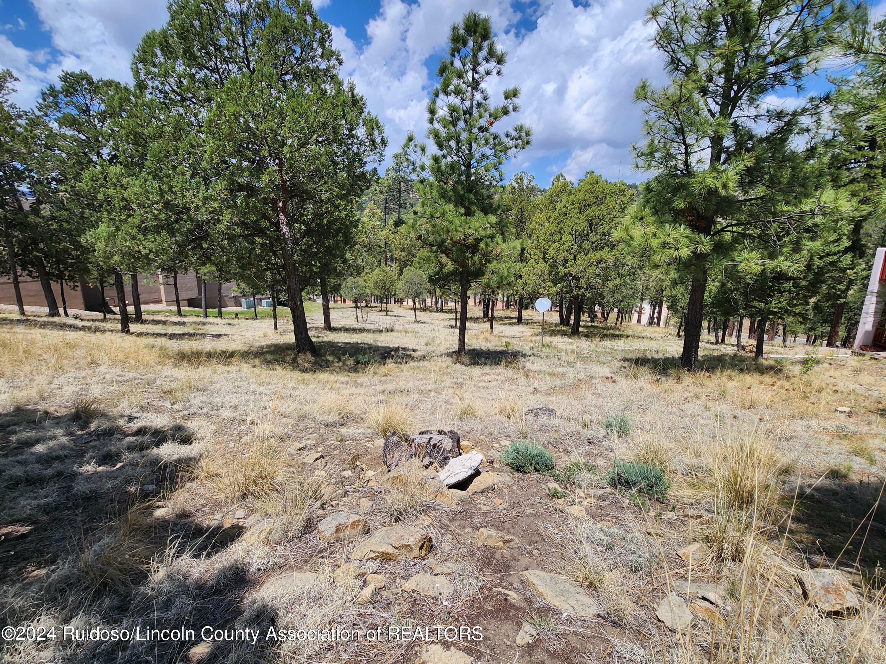 Property Photo:  116 Pat Thompson Court  NM 88345 