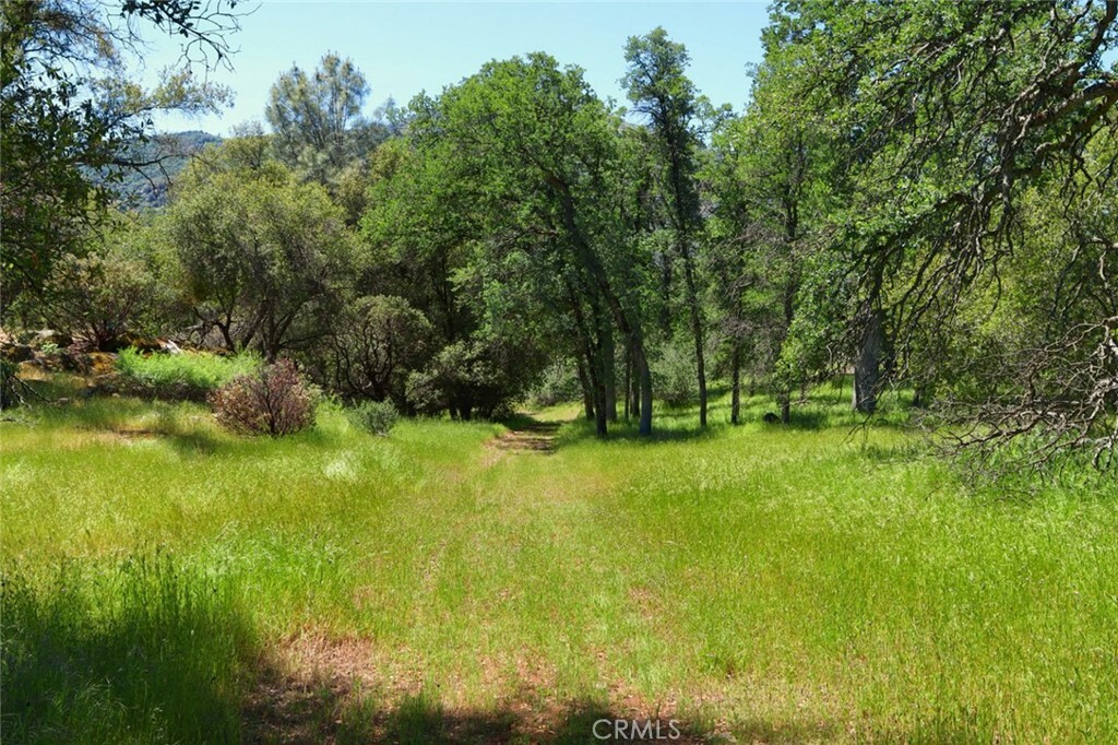 Property Photo:  0 Road 425A  CA 93644 