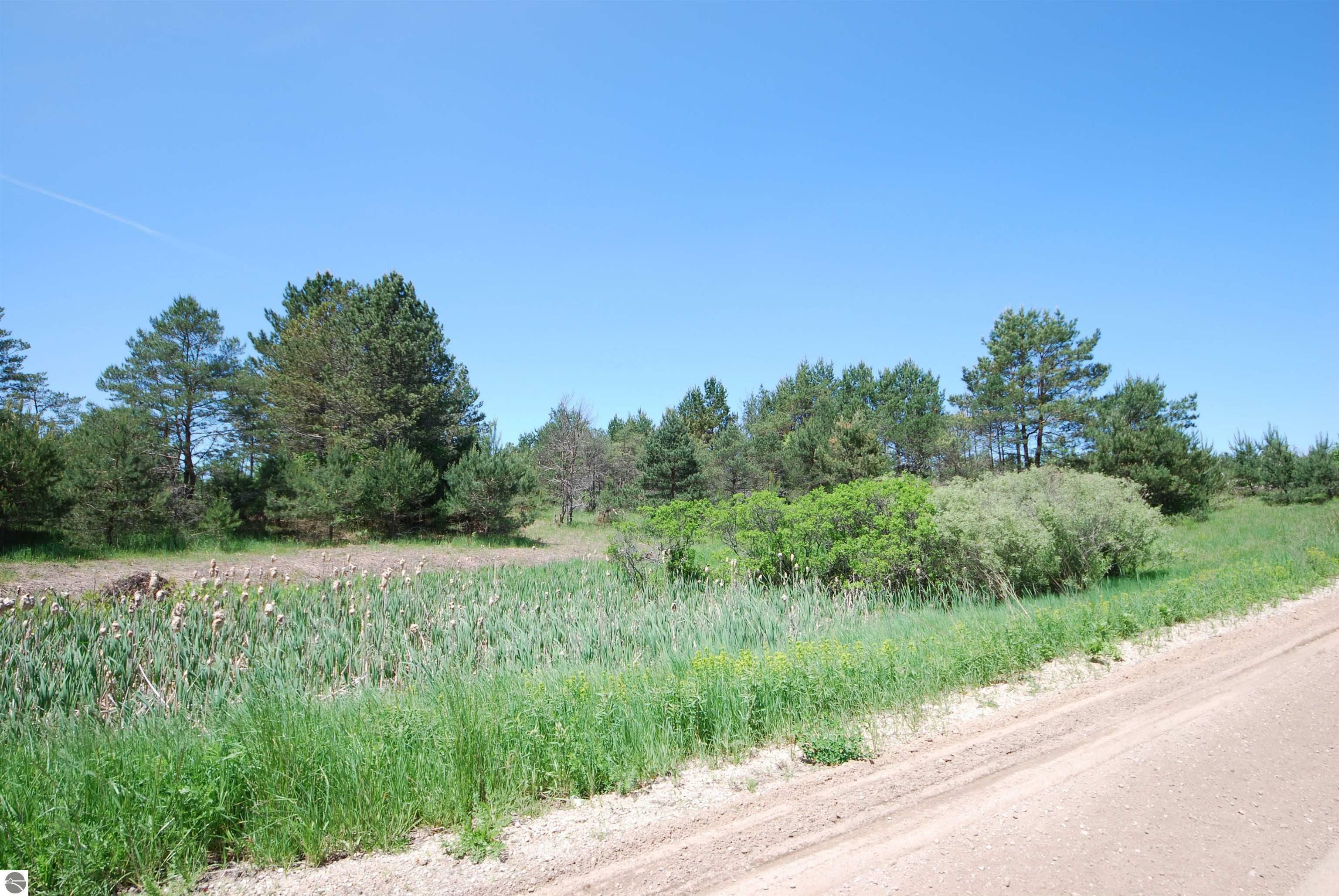 Property Photo:  SE Riley Road Parcel #4  MI 49646 