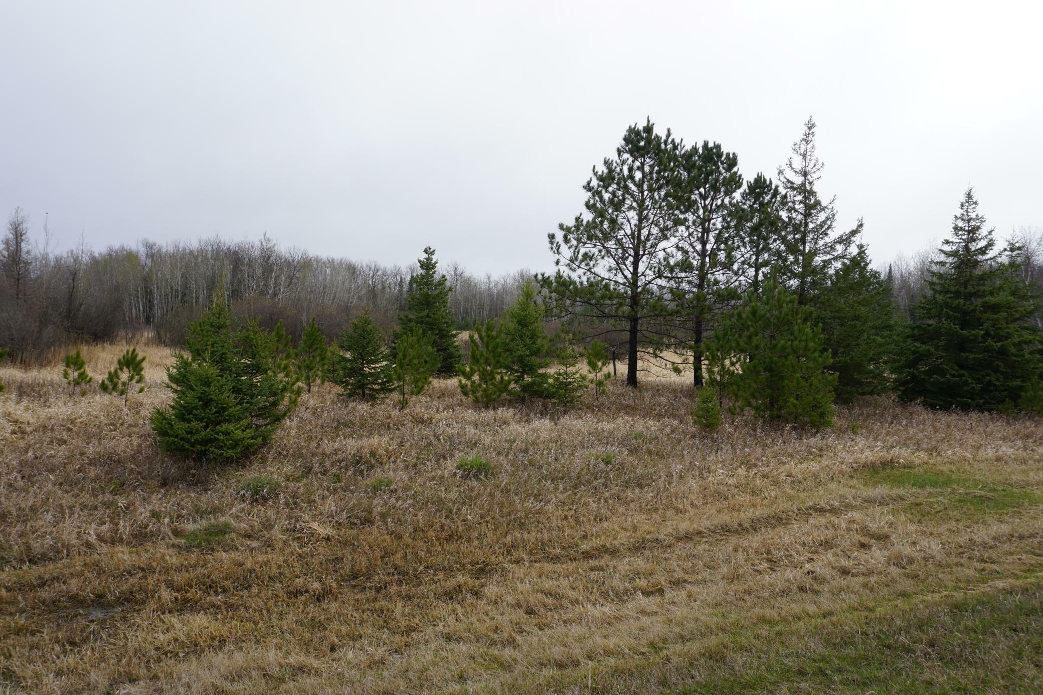 Property Photo:  Tbd US 2 Highway  MN 56636 