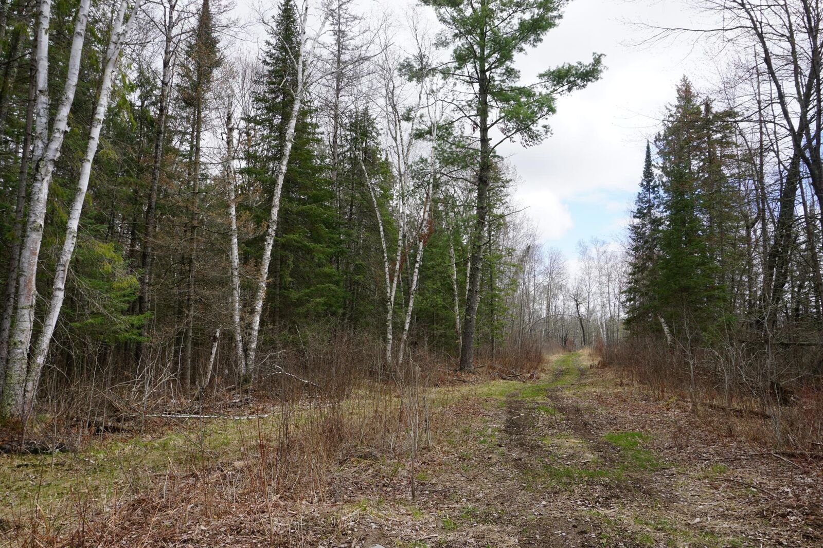 Property Photo: *** 240th Avenue MN 55752