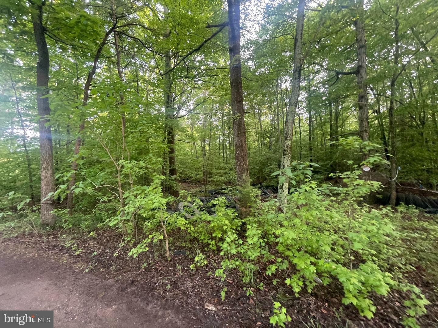 Property Photo:  0 Horsehead Road  MD 20613 