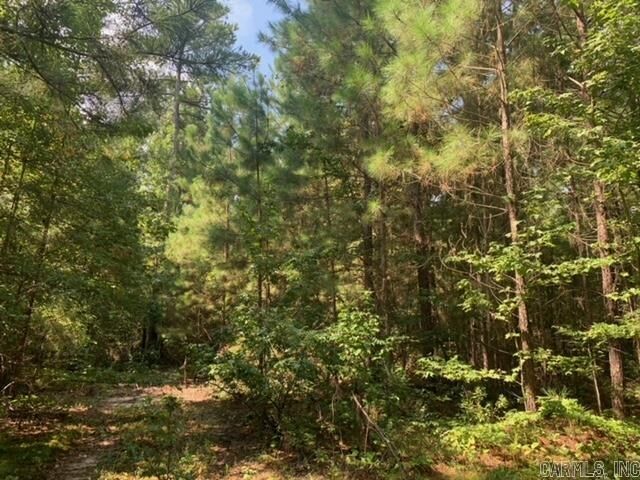 Property Photo:  Oklahoma Inn Lots 9, 10, And 11  AR 72015 