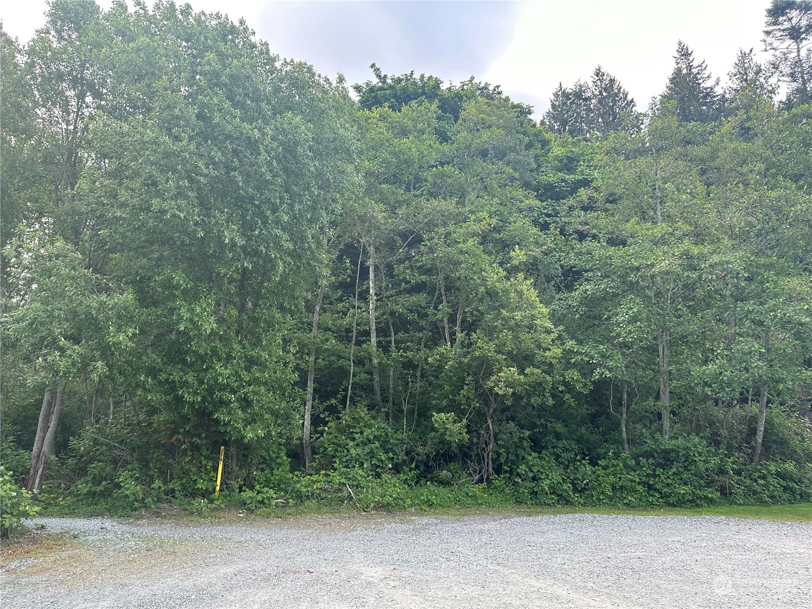 Property Photo: 0 Nhn Baltimore Avenue WA 98221