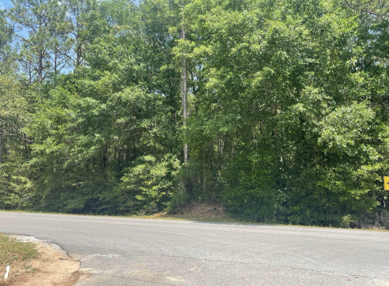 Tbd Lake Silver Road  Crestview FL 32536 photo