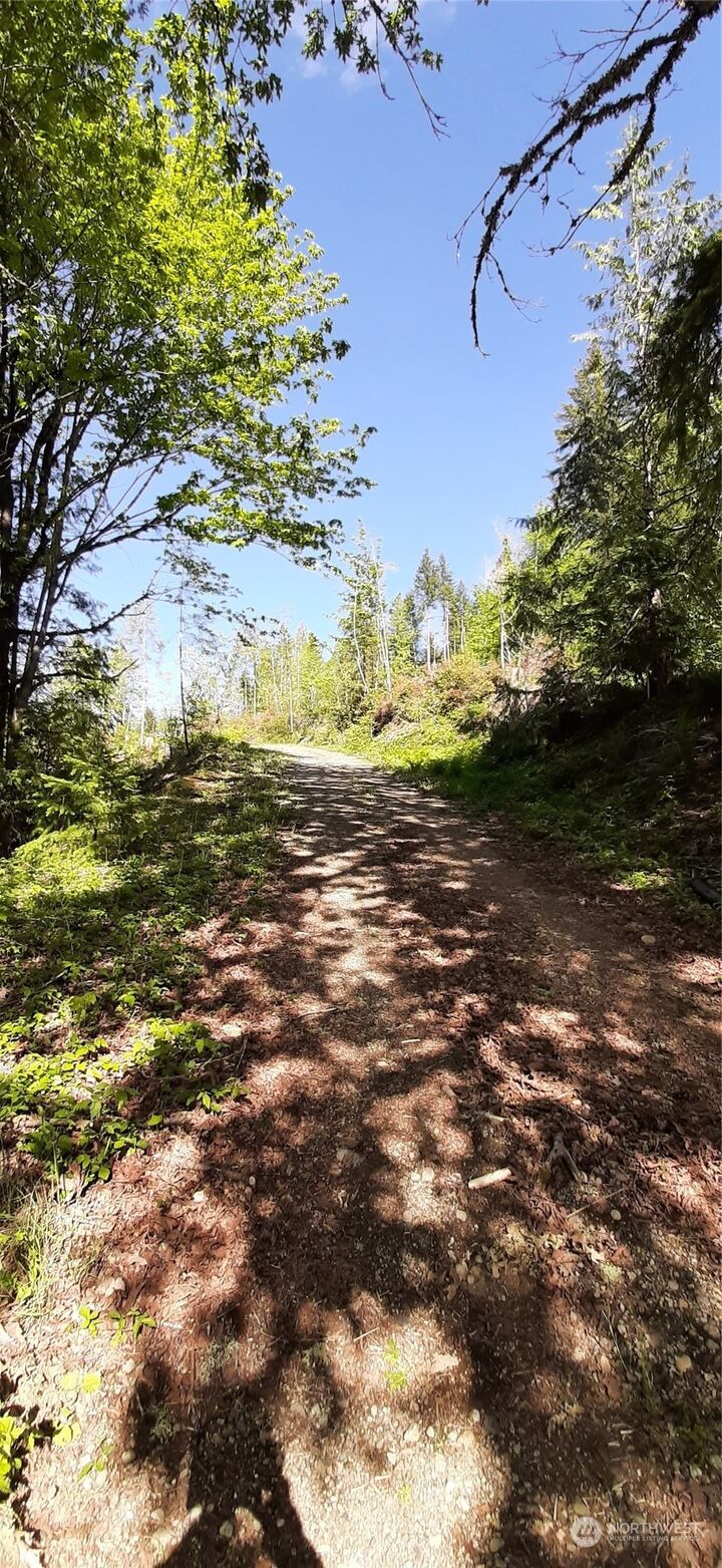 Property Photo:  101 NE Wj Way  WA 98528 