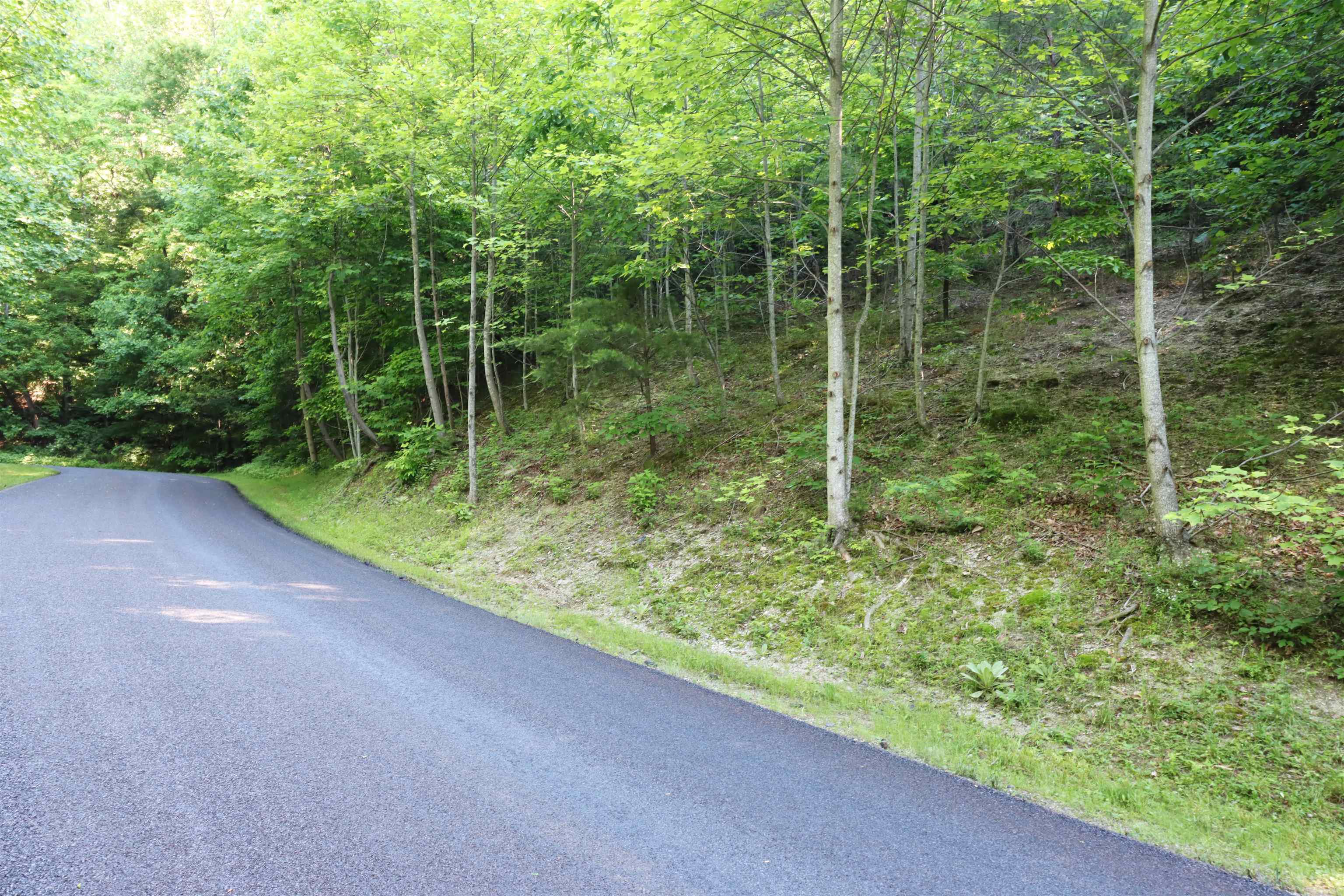 Property Photo:  81 Moccasin Flower Trail  SC 29356 