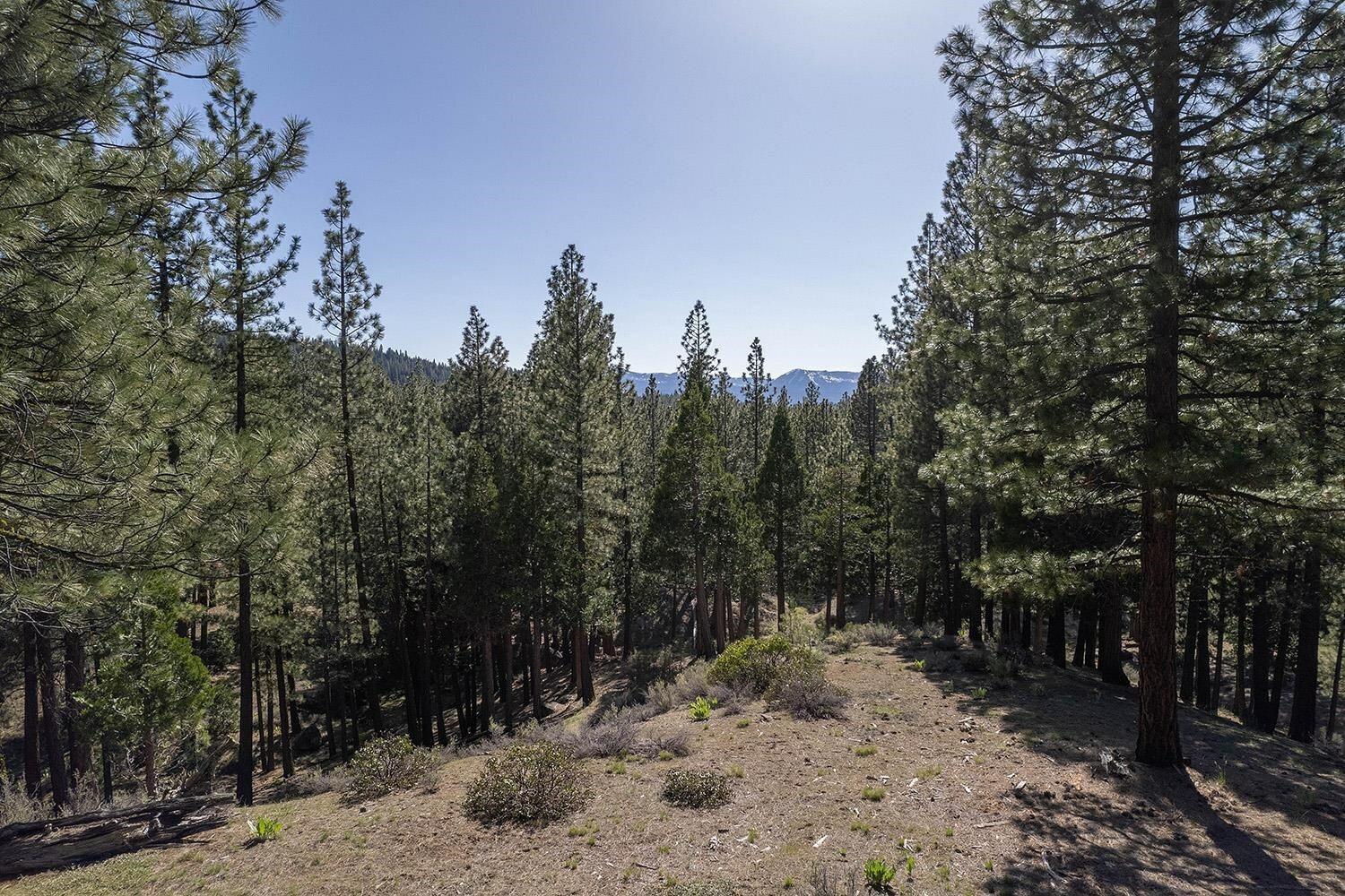 Property Photo:  924 Dancing Bears  CA 96106 