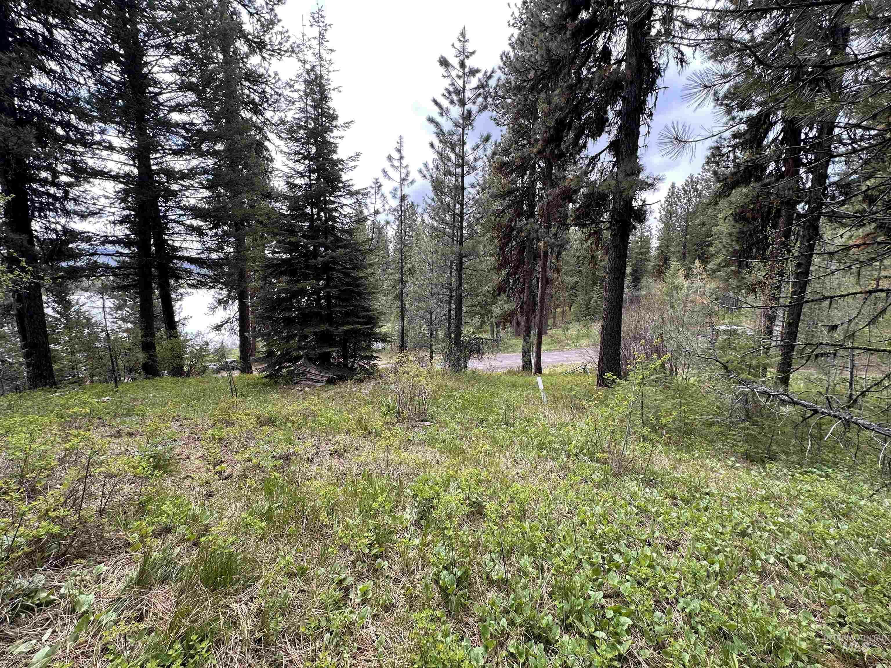 Lot 1 Wilderness Ranch  High Valley ID 83611 photo