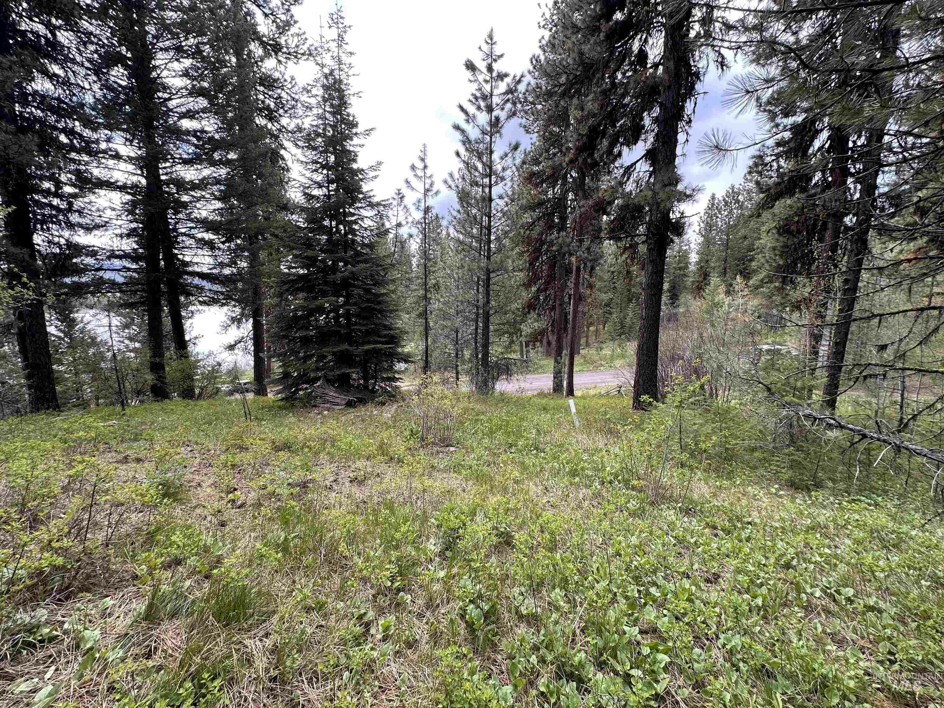 Property Photo:  Lot 1 Wilderness Ranch  ID 83611 