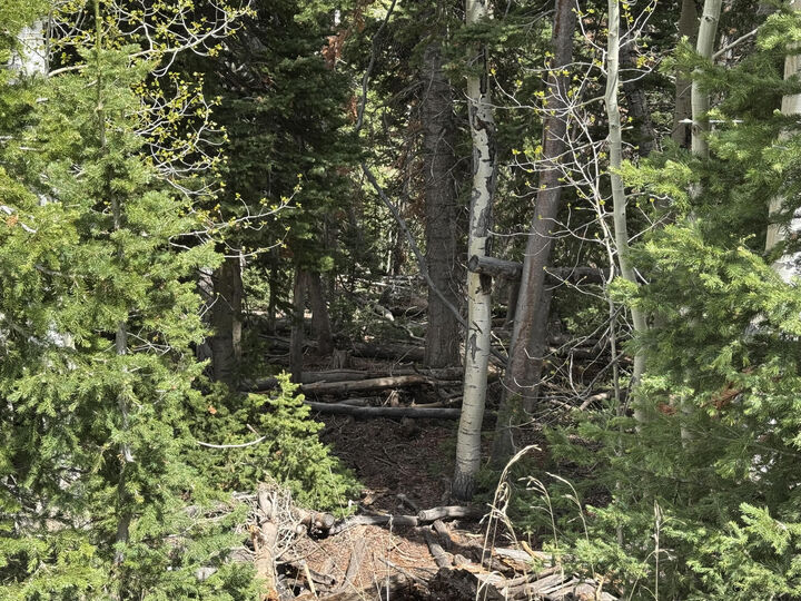 Property Photo:  695 W Hunter Ridge  UT 84719 