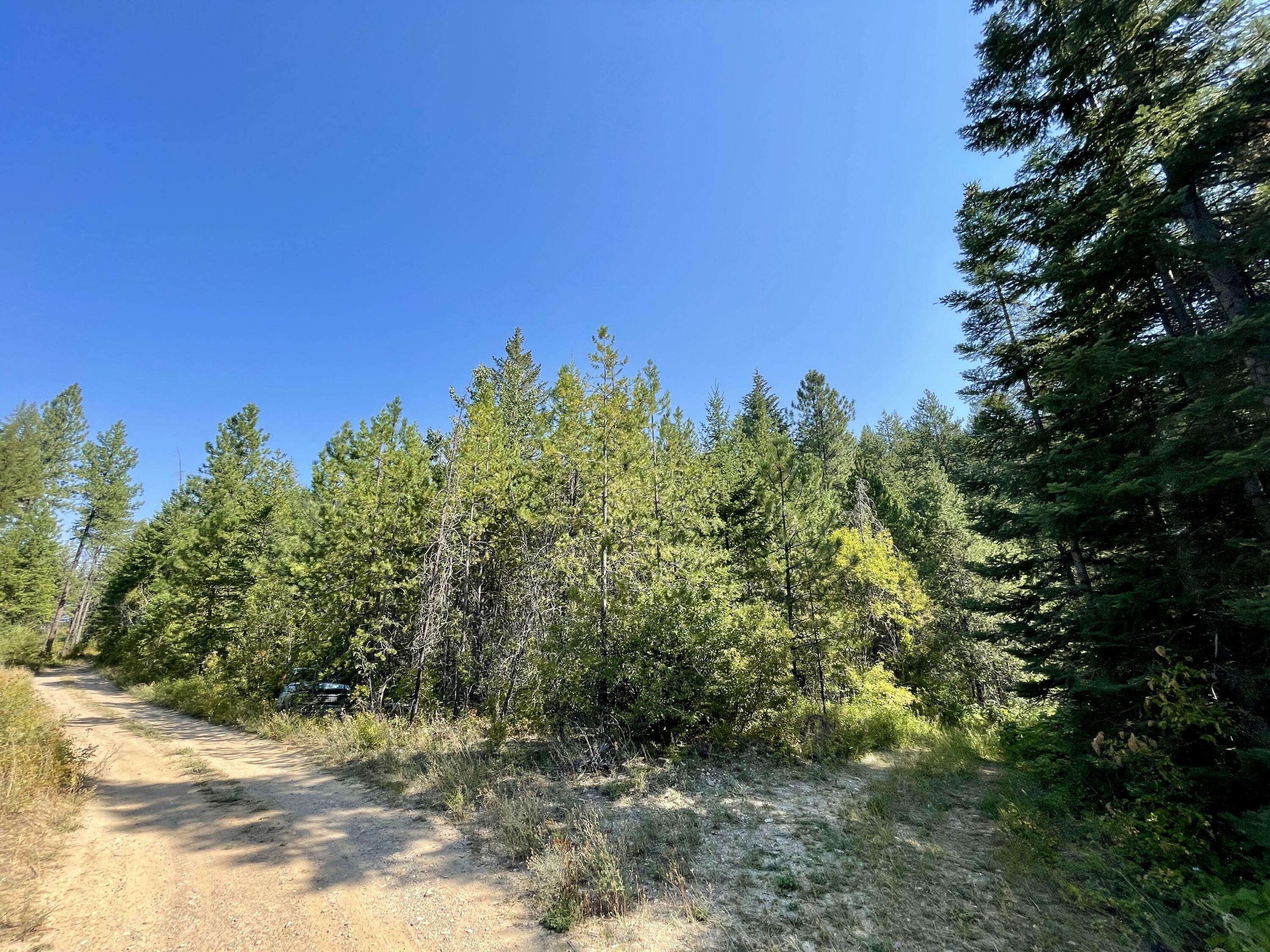 Property Photo:  Tbdxx Grouse Creek Rd Lot 20  WA 99109 