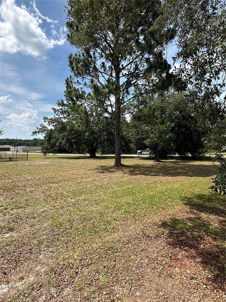 Property Photo:  Pine Track Loop  FL 34472 