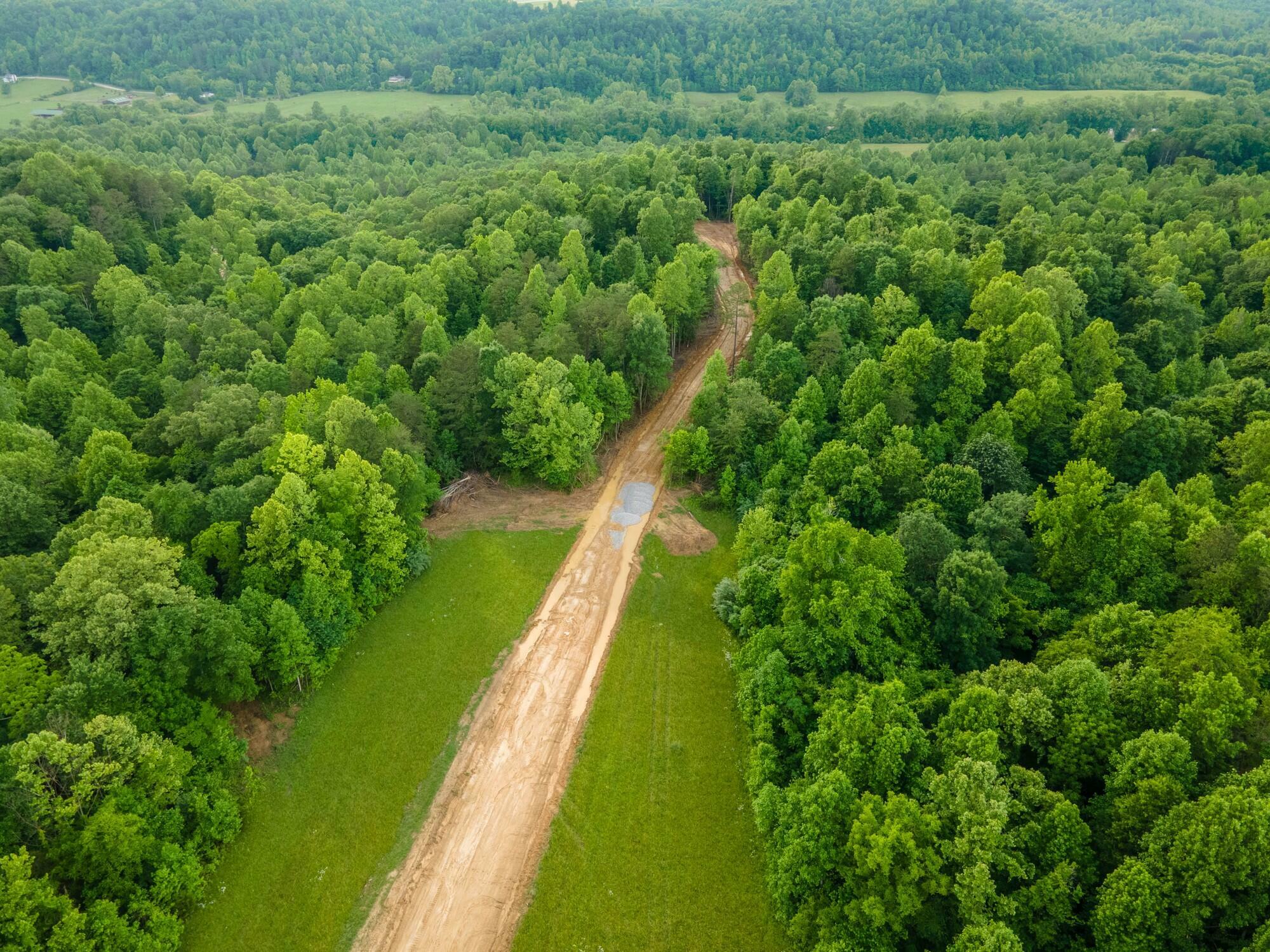 Property Photo:  Lot 154 Mt Morgan Road  KY 40769 