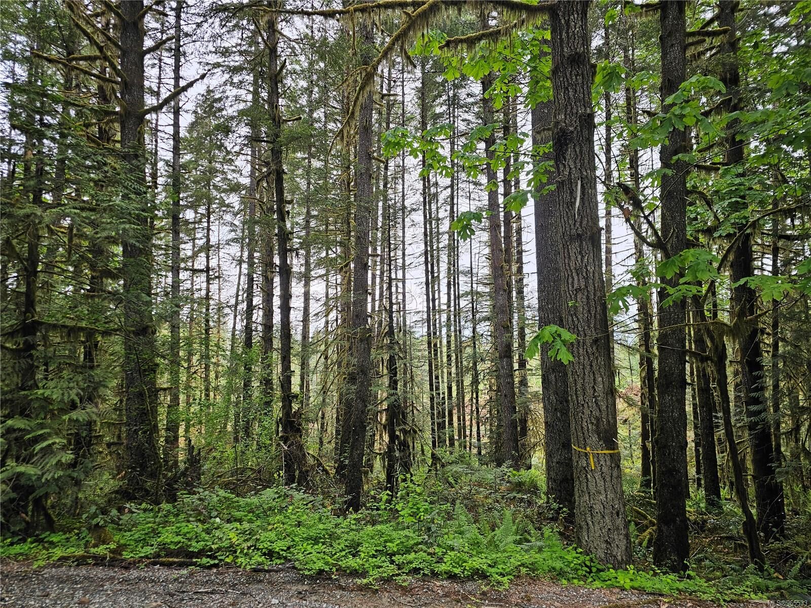 Property Photo: 7655 Trill Pit Rd BC