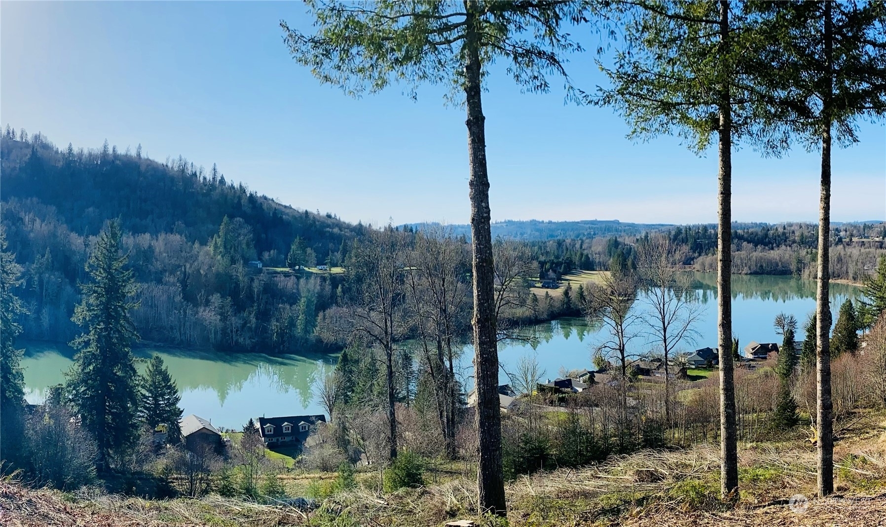 Property Photo:  53786 Larson Road  WA 98564 