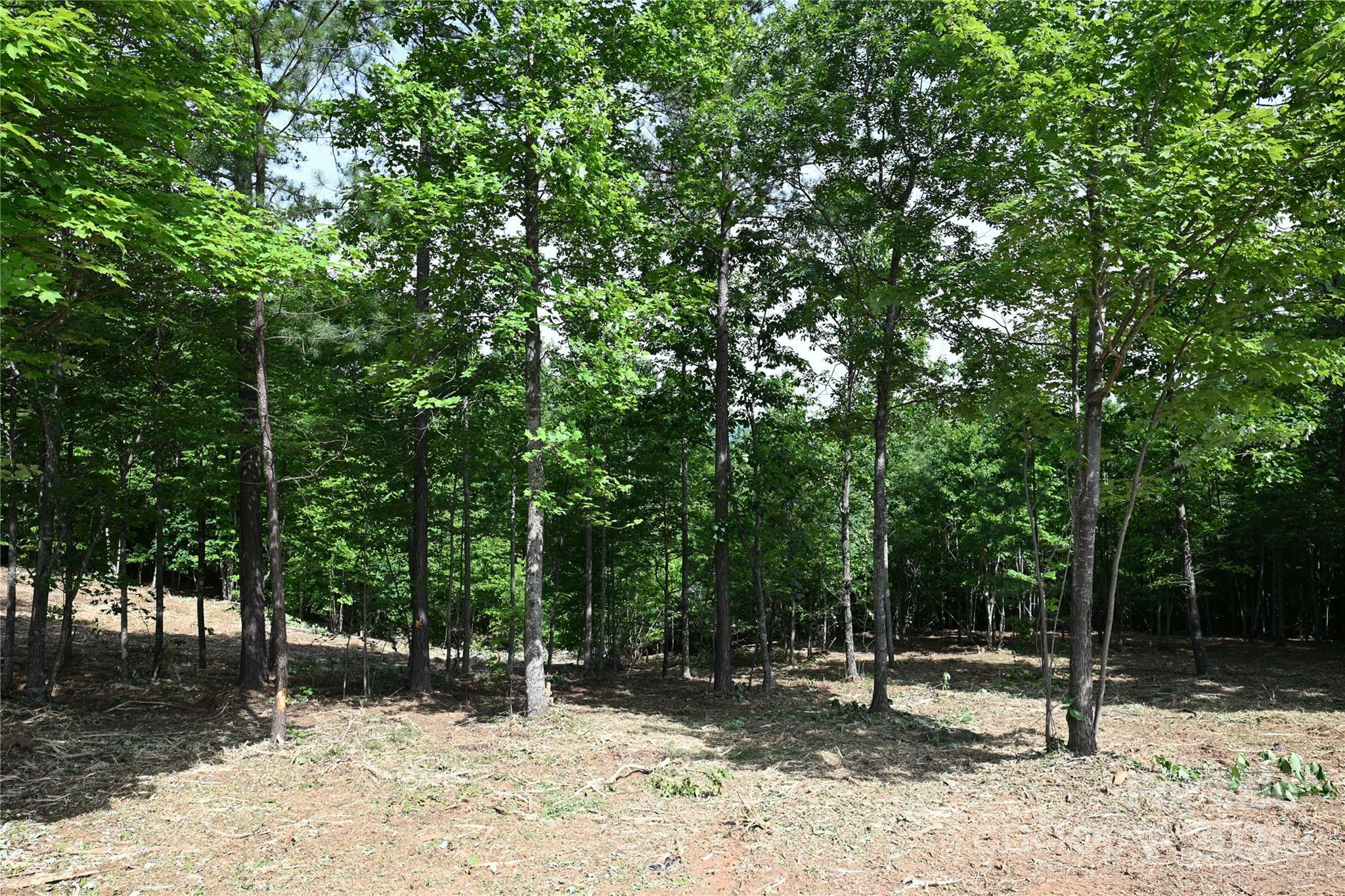 Property Photo:  32 Grandview Peaks Drive 32  NC 28761 