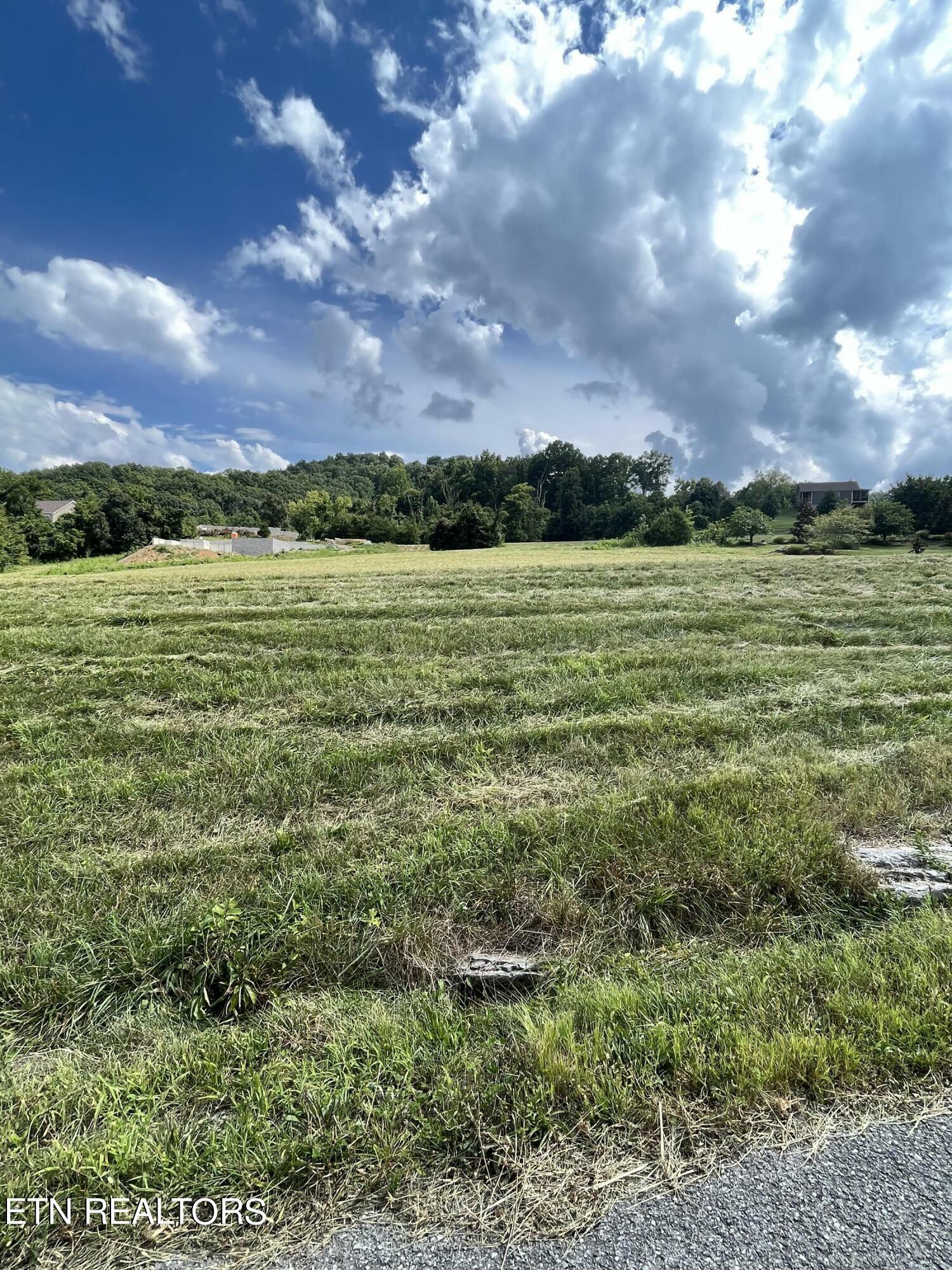 Property Photo:  Lot 281 Russell Brothers Rd  TN 37866 