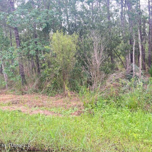 Property Photo:  Lot 10 Blk 322 Tennessee Street  MS 39520 