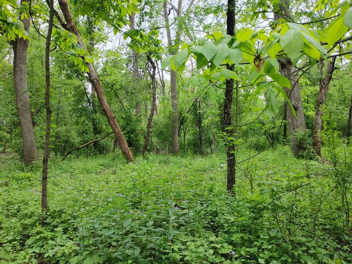 Property Photo: Lot4 Wisconsin Parkway WI 53115