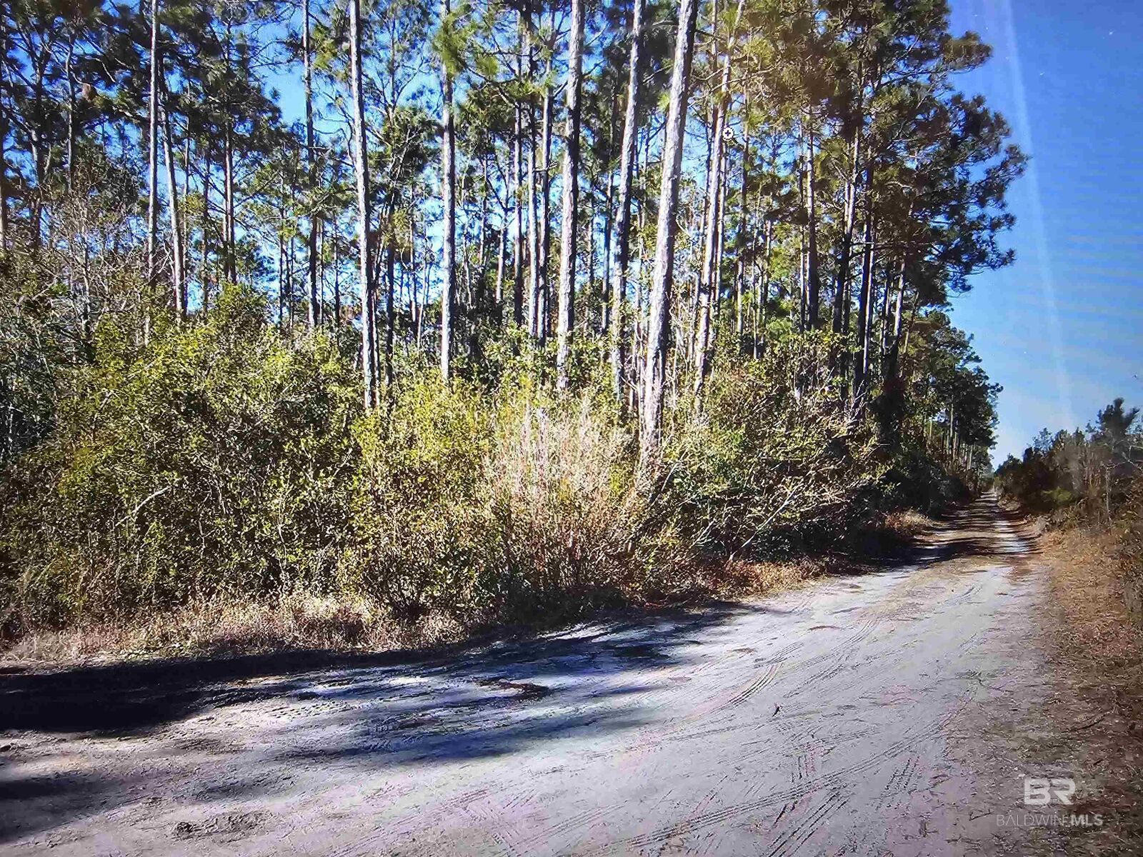 Property Photo: 35542 Rester Avenue AL 36549