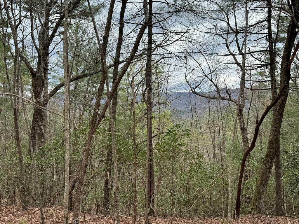 Property Photo:  Tract A Harpers Creek Road  GA 30540 