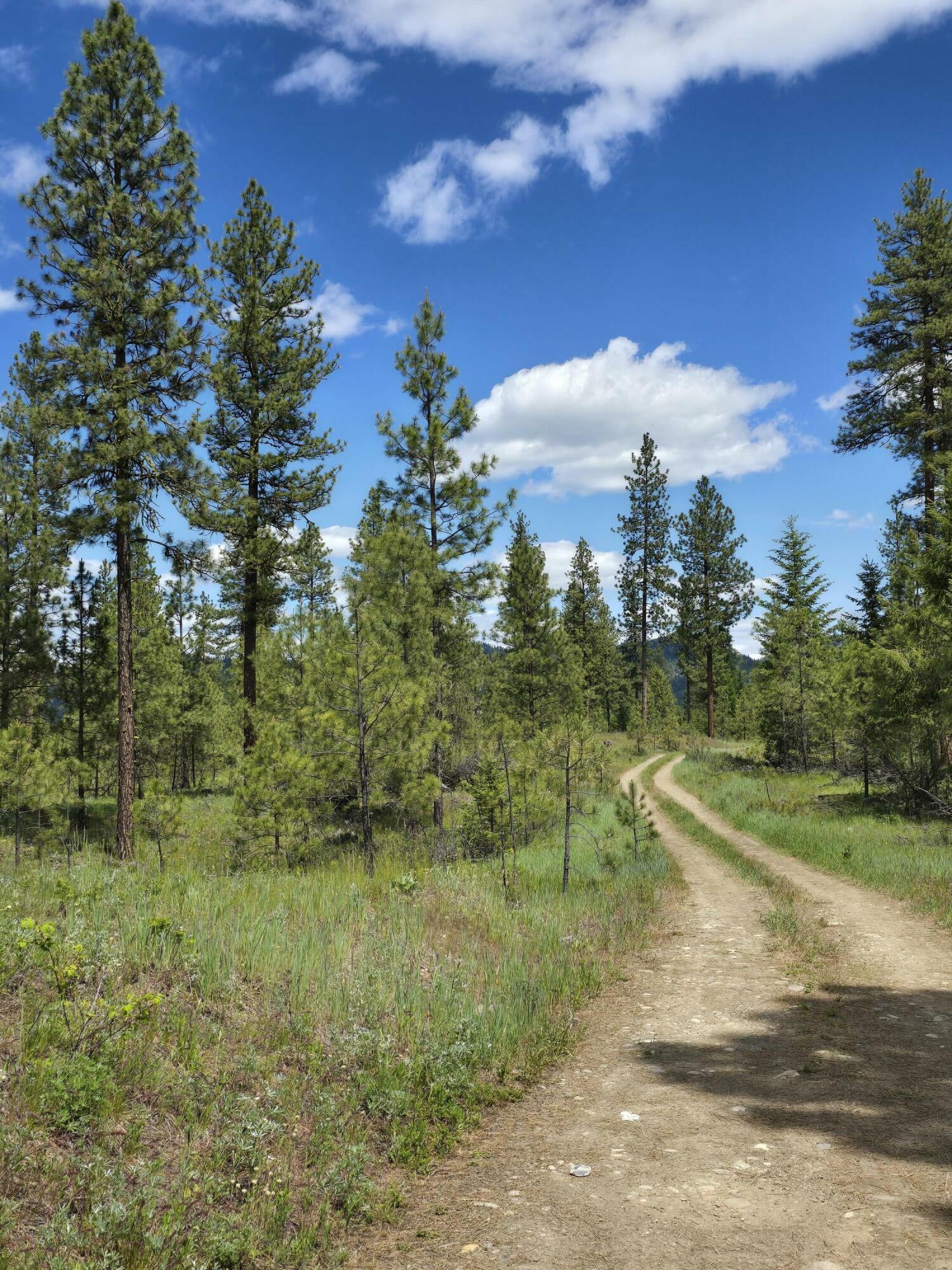 Property Photo:  1364 Evans Cutoff Rd  WA 99126 