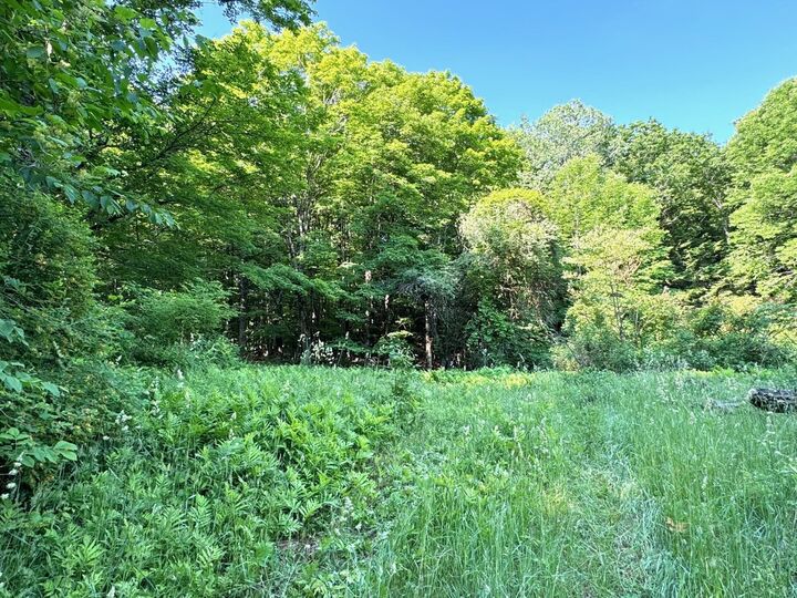Property Photo:  155 Randall Hill Road  VT 05150 