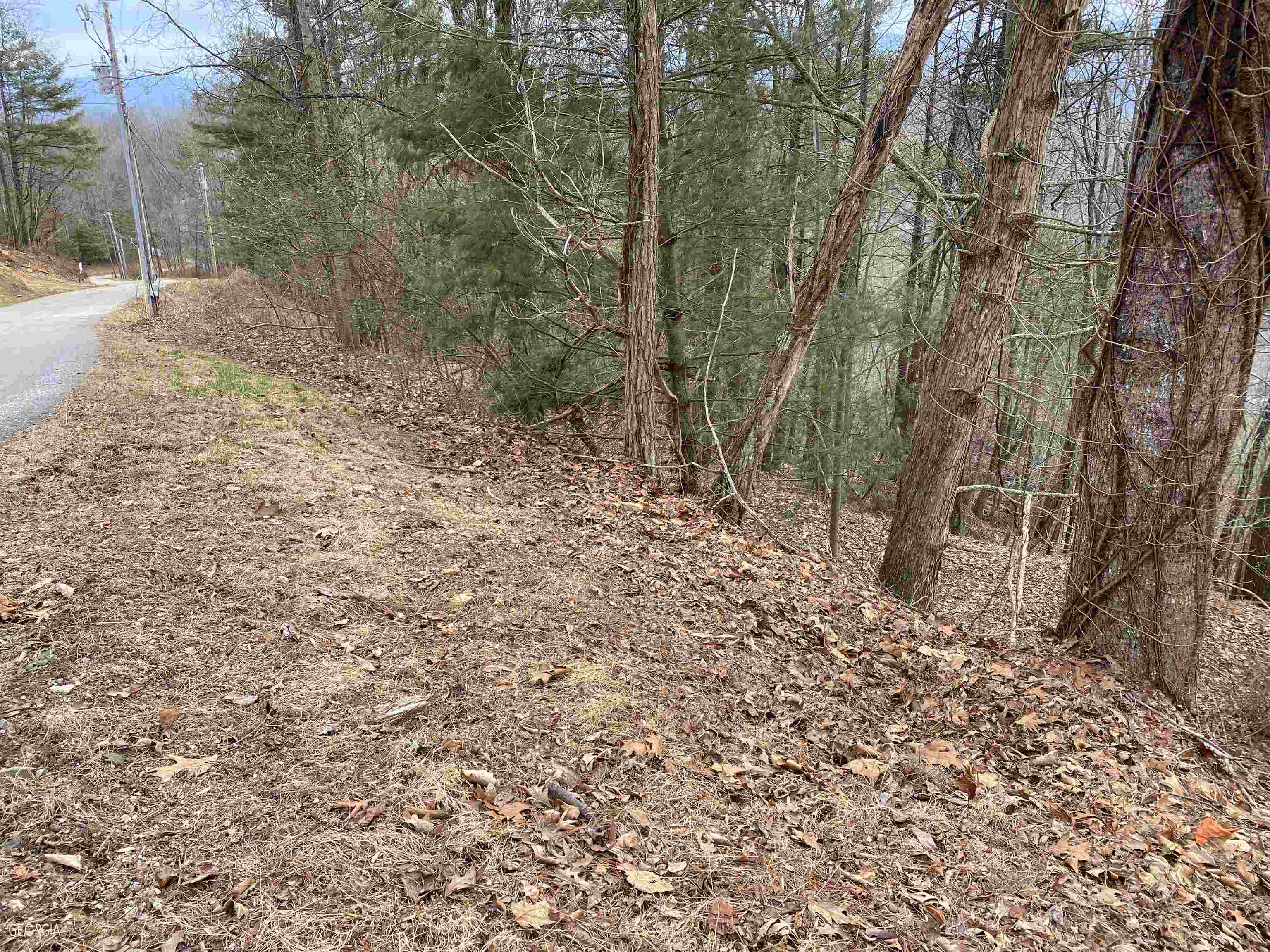 Property Photo:  Lt 58 Mountain Top Road  GA 30512 