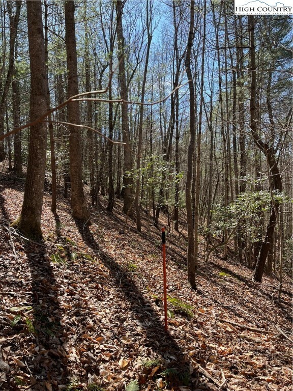 Property Photo:  Tbd Mars Mountain Place  NC 28606 